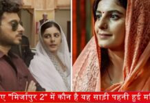 Mirzapur 2 Web Series: जानिए “मिर्जापुर 2” में कौन है यह साड़ी पहनी हुई महिला