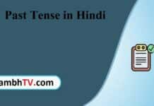 Past Tense in Hindi